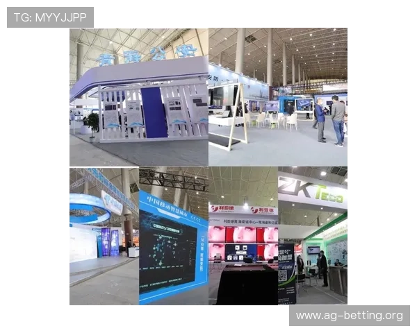 选择亚搏AG旗舰厅的理由及其市场竞争力分析